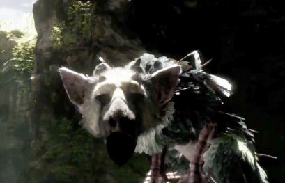 The Last Guardian, bientôt une annonce de Sony ?