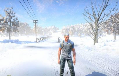 Des screenshots de H1Z1 sous la neige