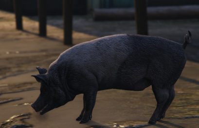 Soluce GTA 5 : Comment incarner un animal dans le jeu ?