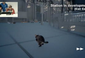 Final Fantasy XV à travers les yeux d'un chat