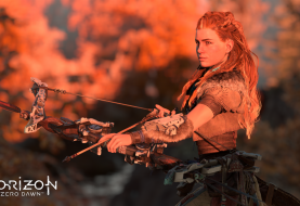 Le plein d'informations pour Horizon Zero Dawn