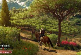 The Witcher 3 Blood and Wine : Des visuels supplémentaires